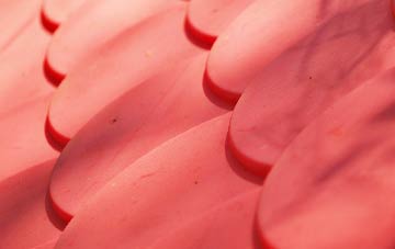 Burnage plastic roof costs